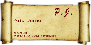 Puia Jerne névjegykártya